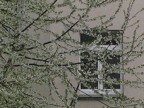E11 VR DRESDEN2 9